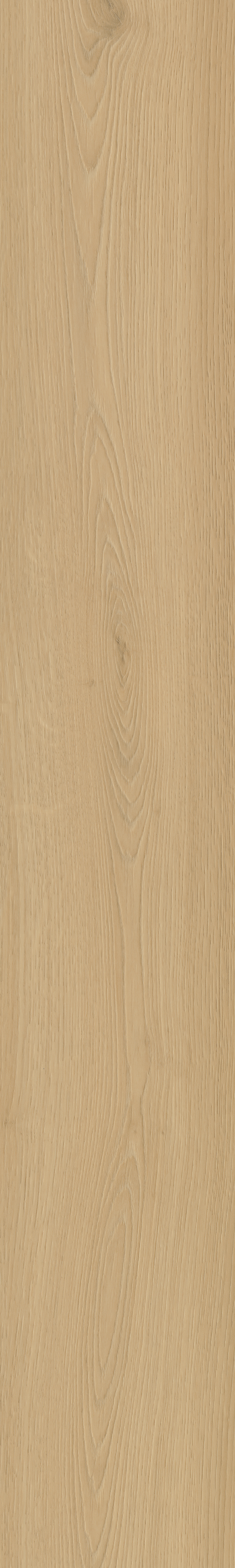 Borgo 300 | Rigid Click — Belakos