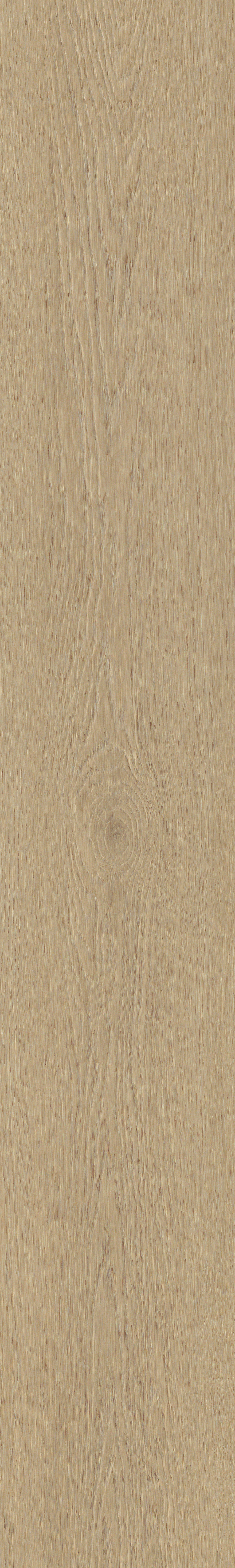 Borgo 310 | Rigid Click — Belakos