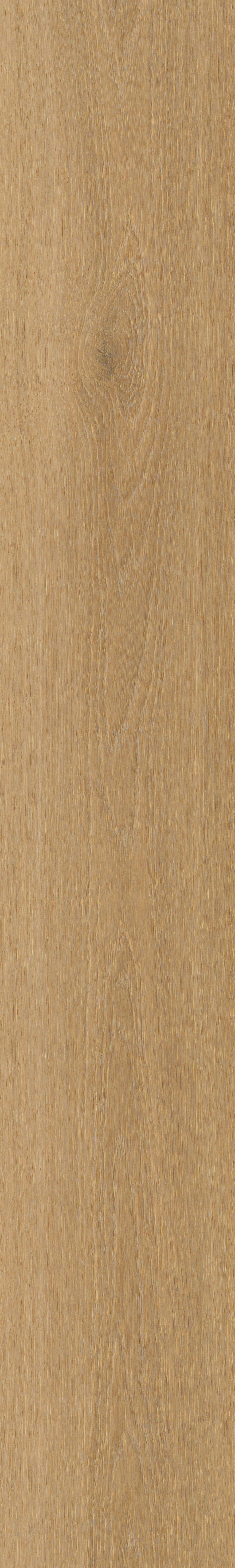 Borgo 320 | Rigid Click — Belakos