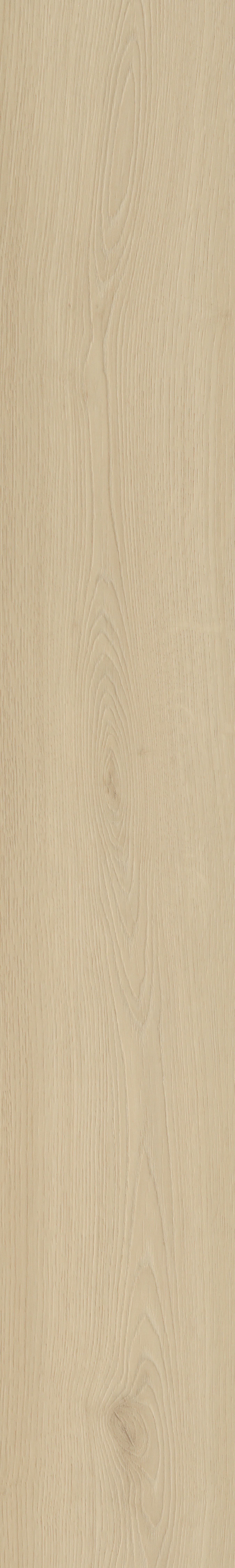 Borgo 330 | Rigid Click — Belakos