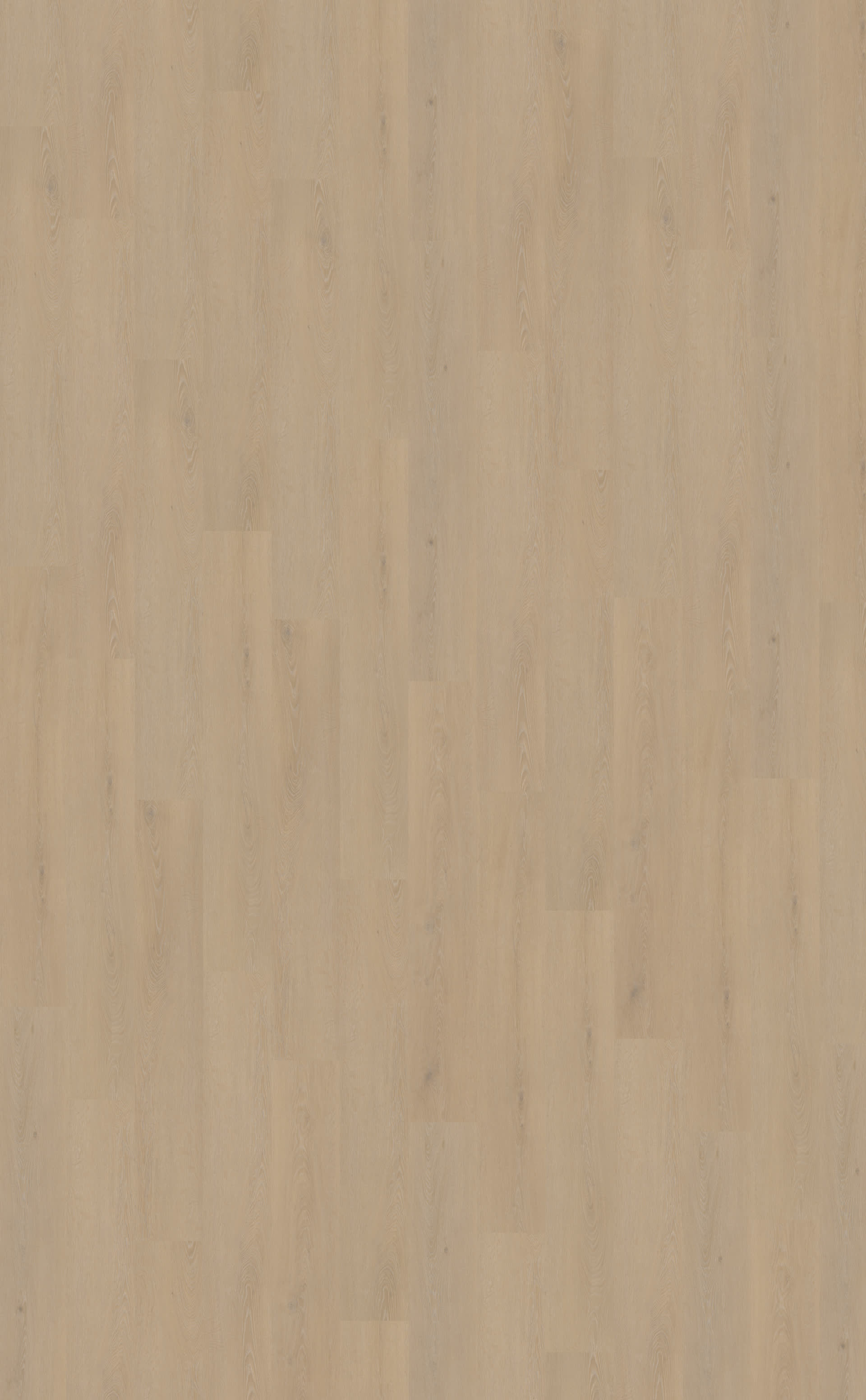 Cervo 200 | Rigid Click — Belakos