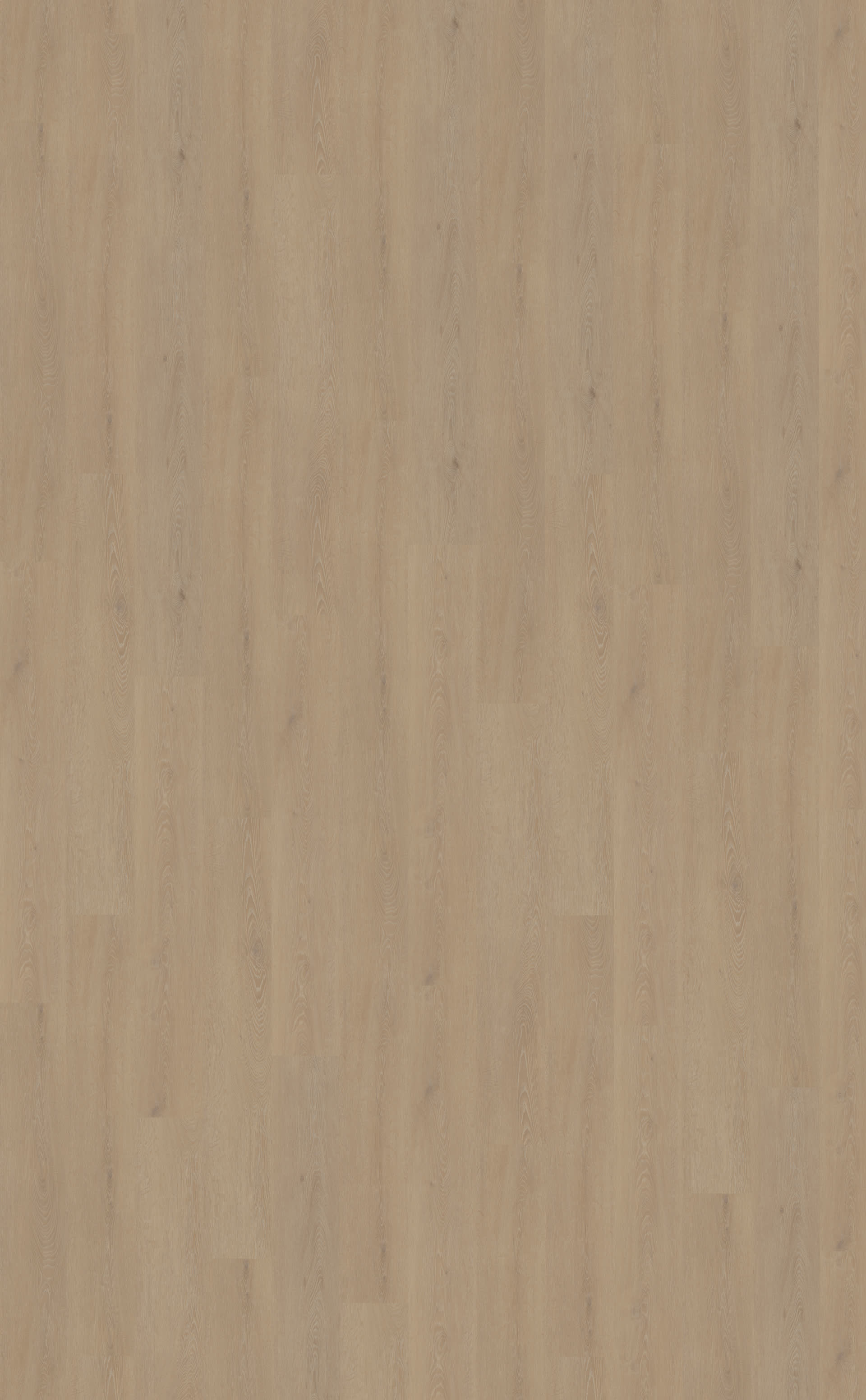 Cervo 210 | Rigid Click — Belakos