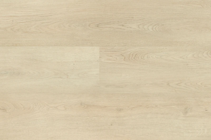 Chablis XL Plank 55854 — Hebeta