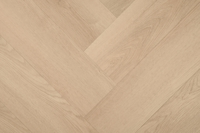 Clermont Visgraat XL 57822 — Hebeta