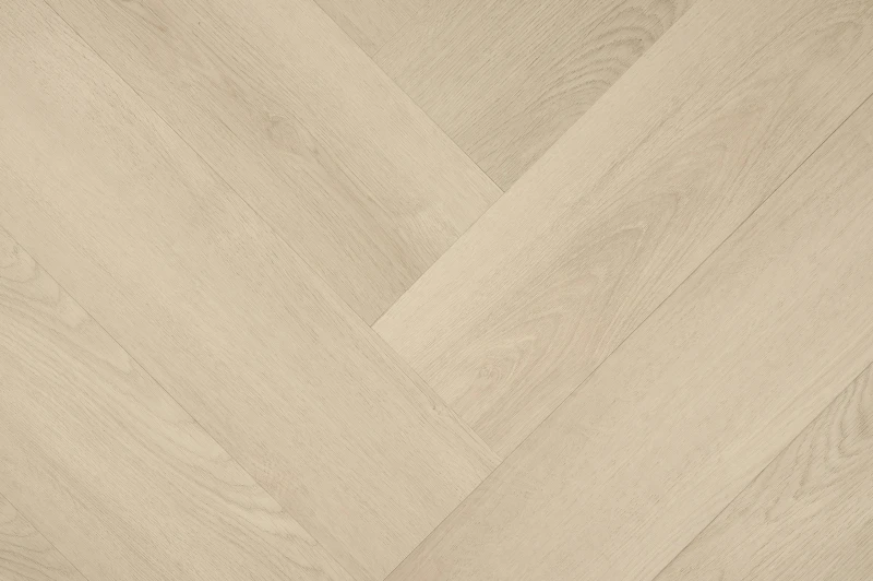 Clermont Visgraat XL 77820 — Hebeta