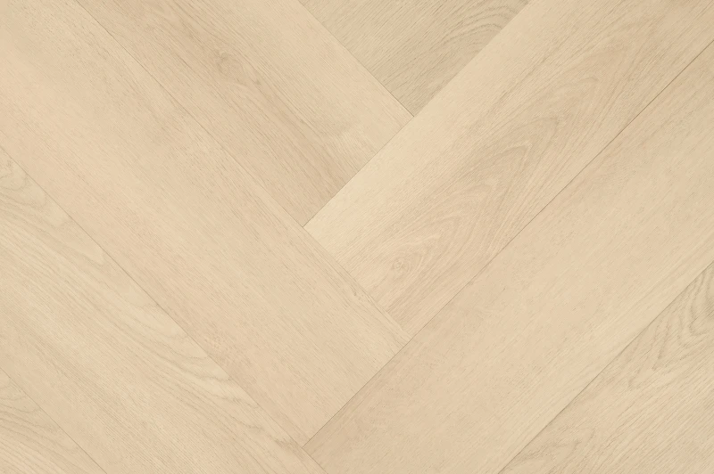 Clermont Visgraat XL 77821 — Hebeta