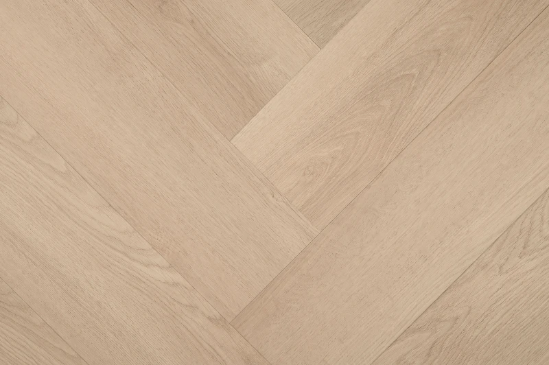 Clermont Visgraat XL 77824 — Hebeta