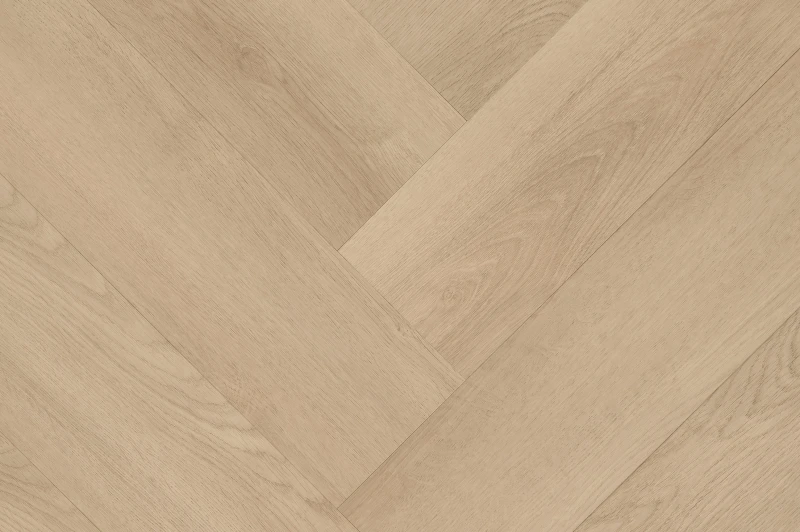 Clermont Visgraat XL 77825 — Hebeta