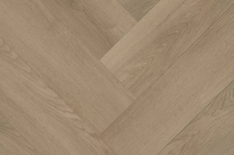 Clermont Visgraat XL 77826 — Hebeta