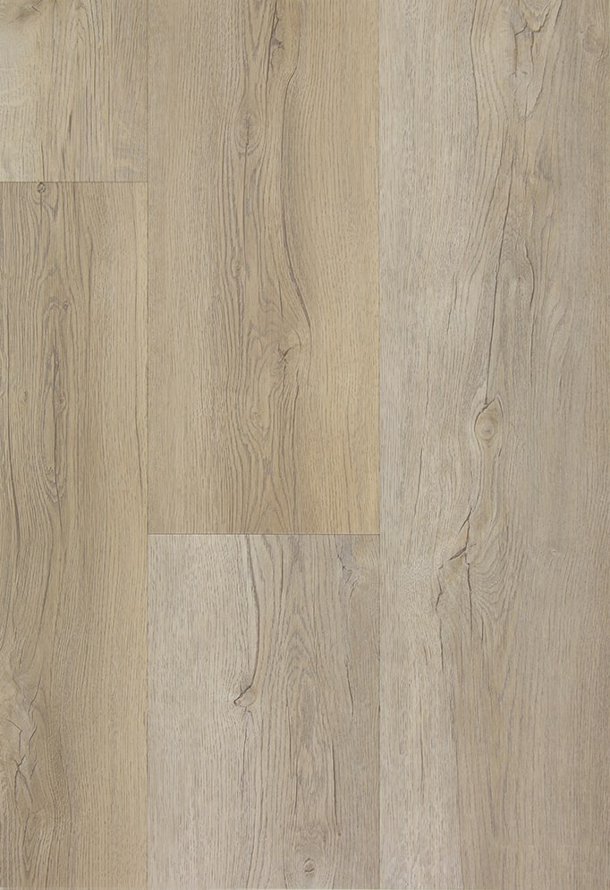 Firm 6 — TFD Floortile