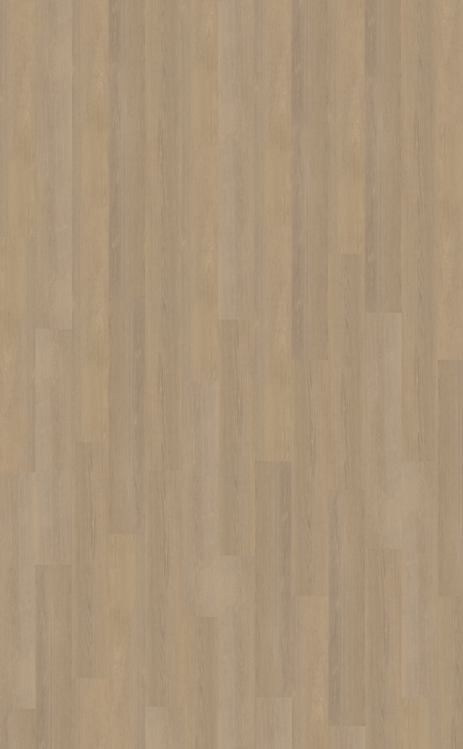 Futuro 530 | Rigid Click — Belakos