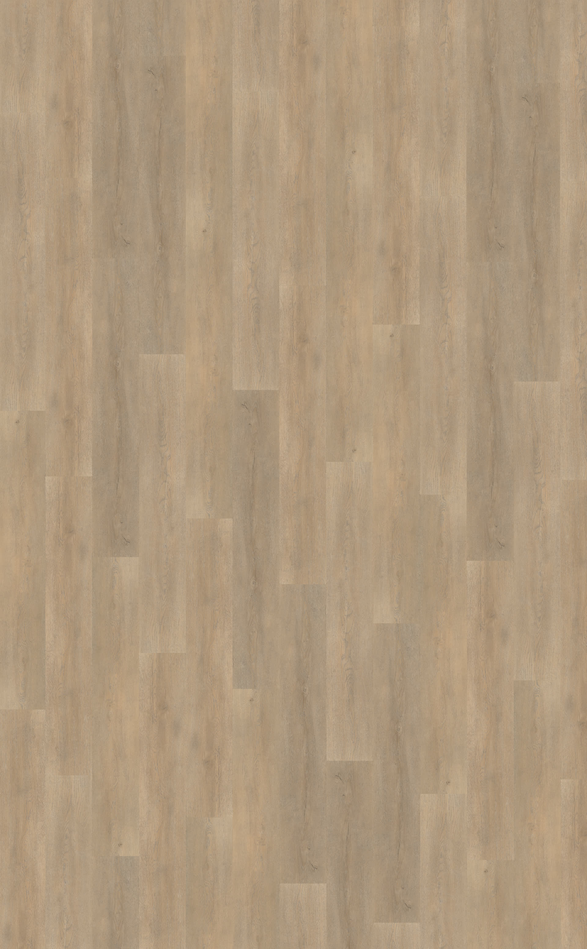 Palazzo 710 | Rigid Click — Belakos
