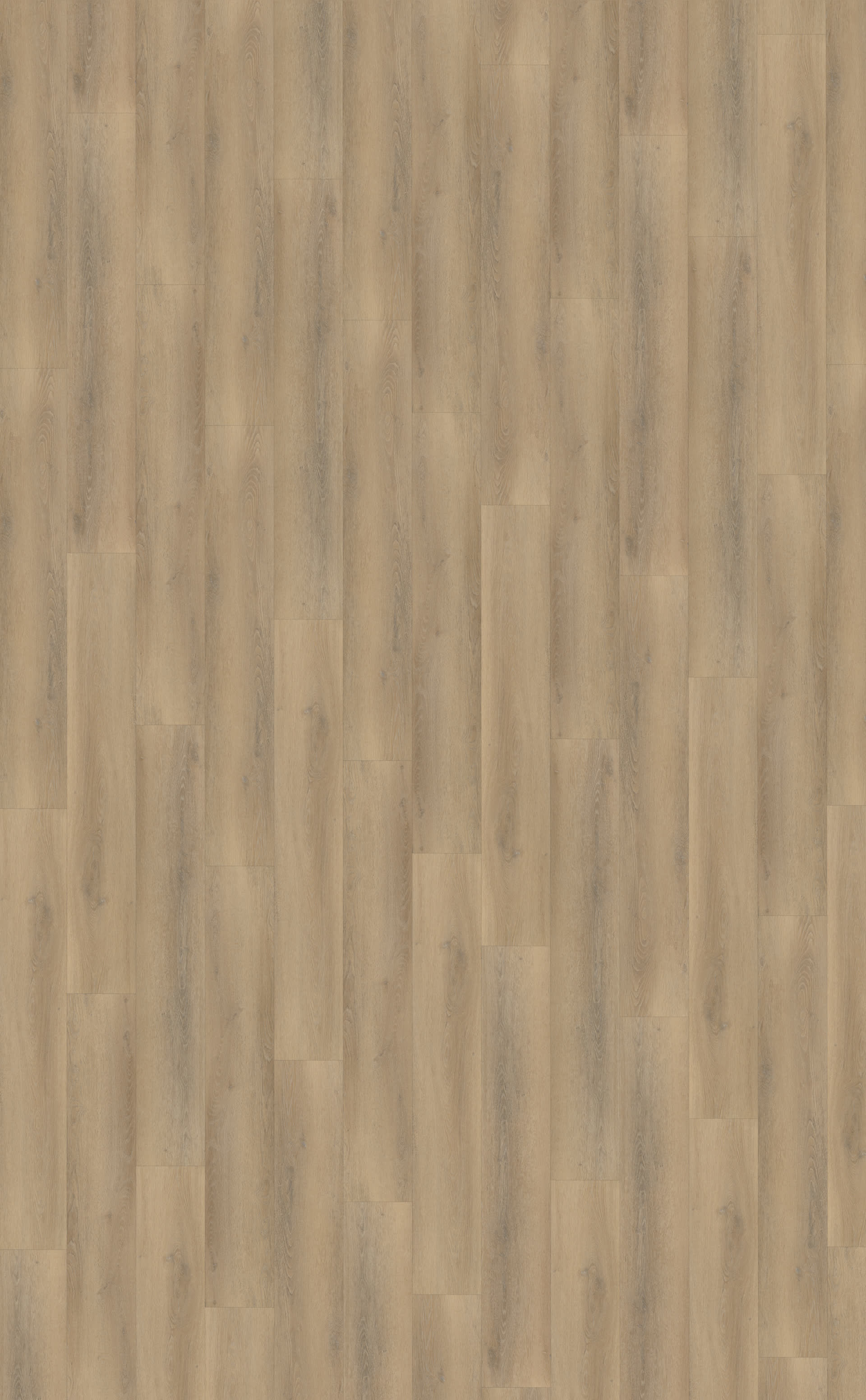 Palazzo 760 | Rigid Click — Belakos