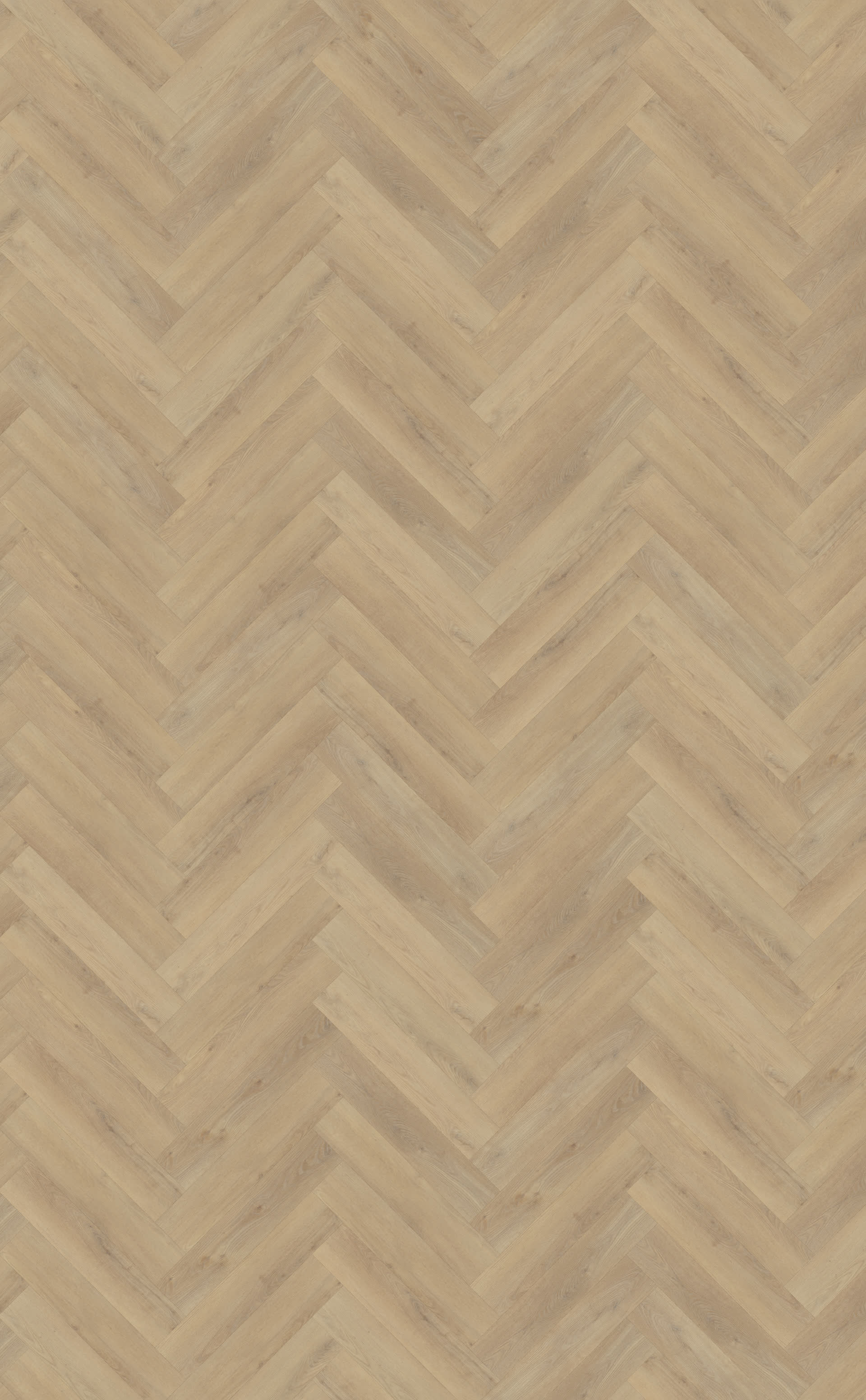 Palazzo visgraat XL 72 | Rigid Click — Belakos