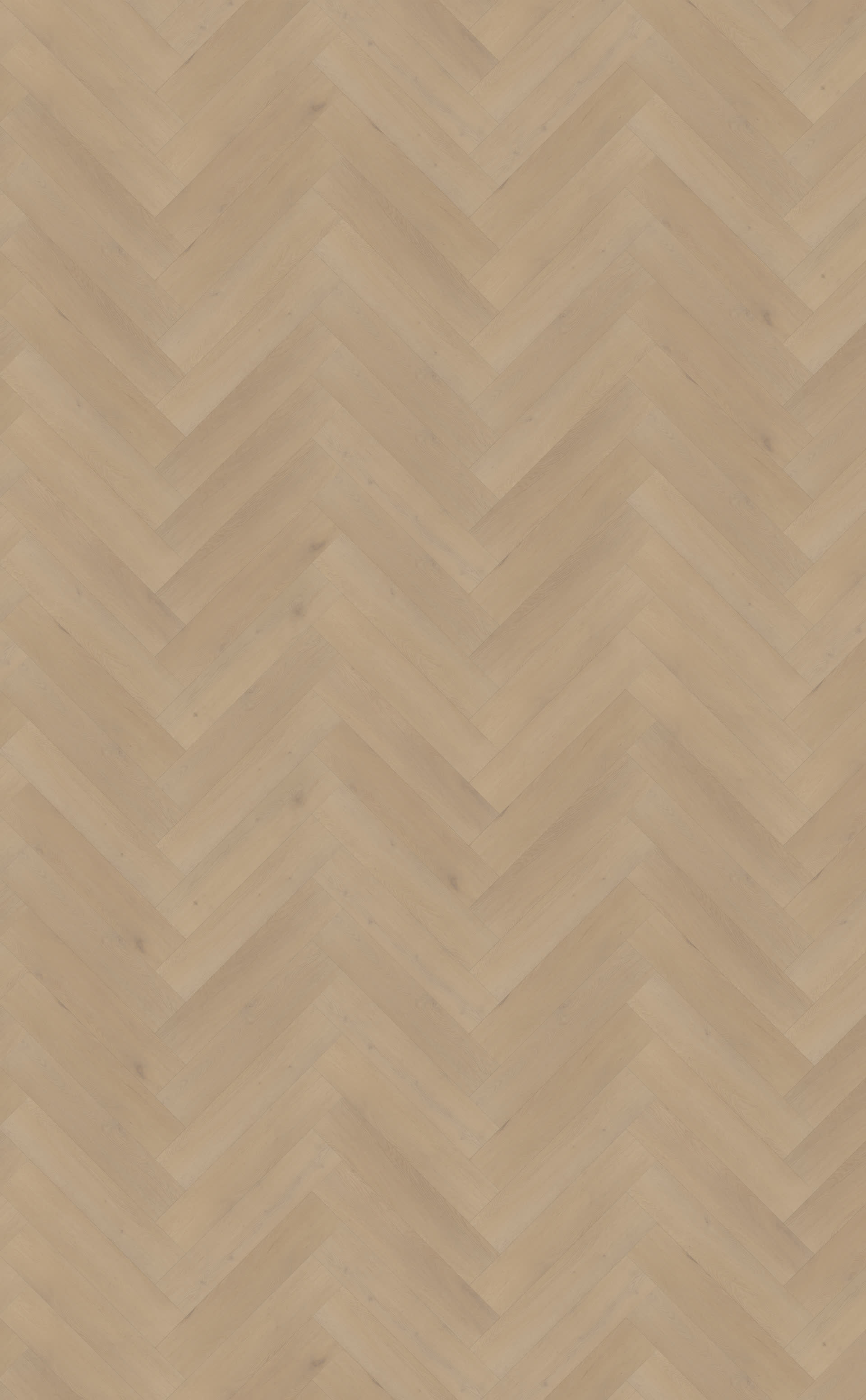 Palazzo visgraat XL 77 | Rigid Click — Belakos