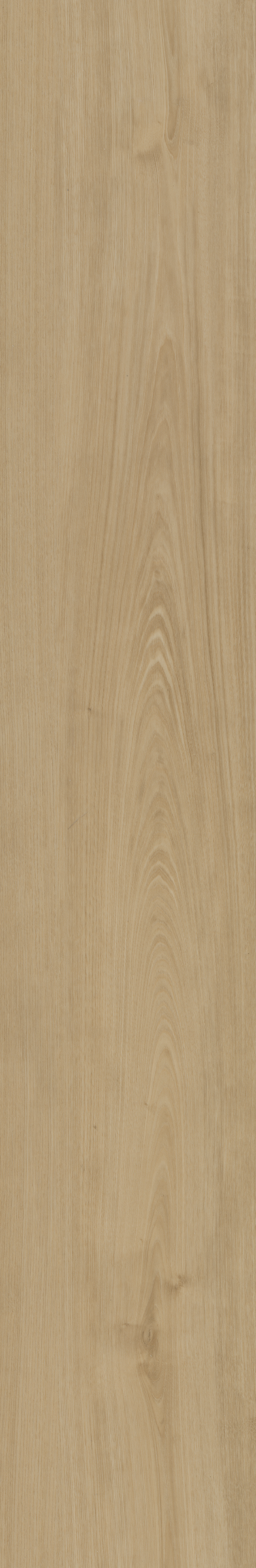 Portico 560 | Rigid Click — Belakos