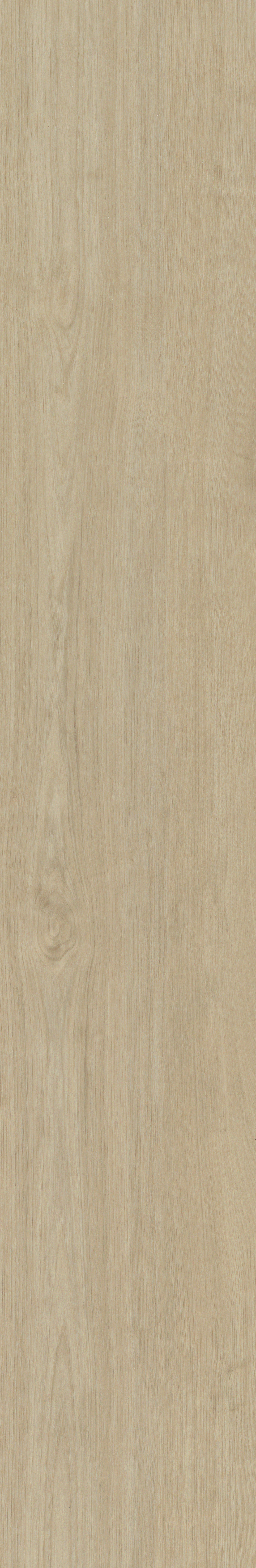 Portico 570 | Rigid Click — Belakos