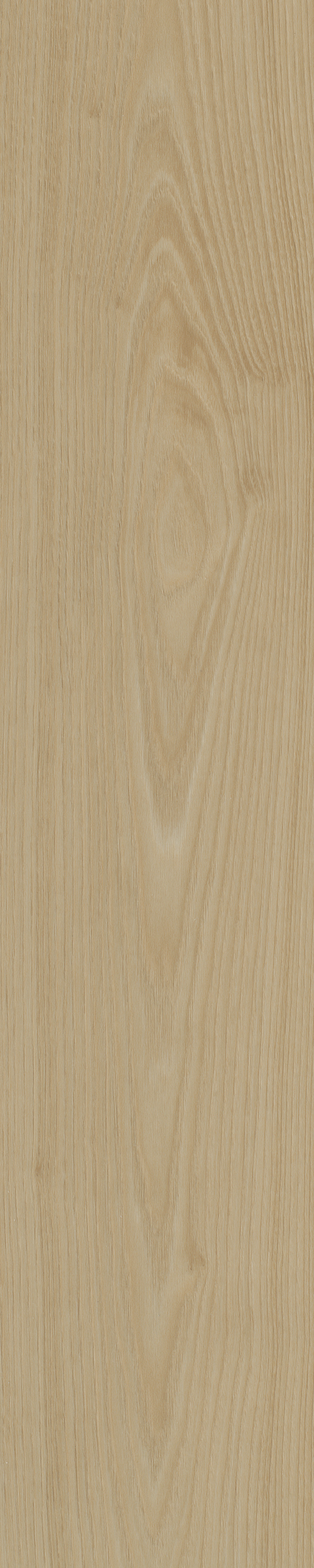 Portico visgraat XL 55 — Belakos