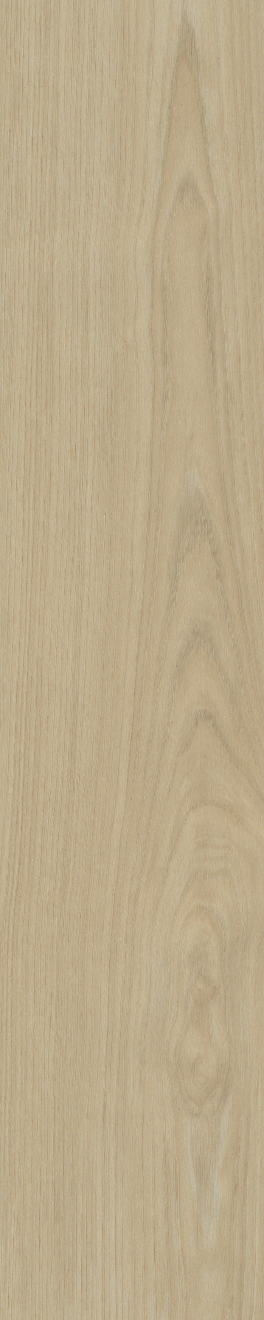 Portico visgraat XL 57 | Rigid Click — Belakos