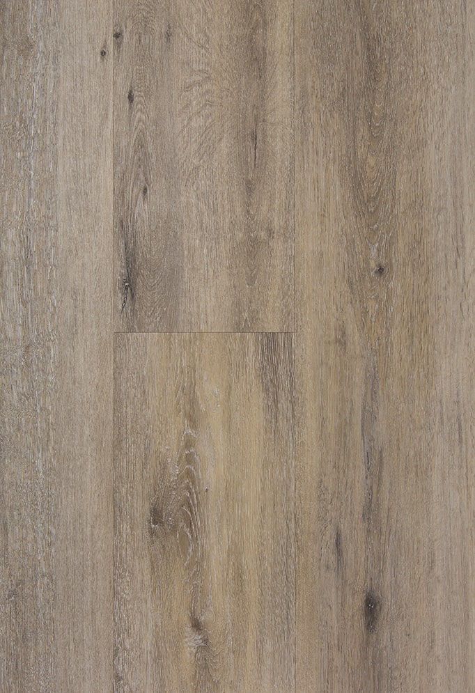 Pro+ 1146-1 — TFD Floortile